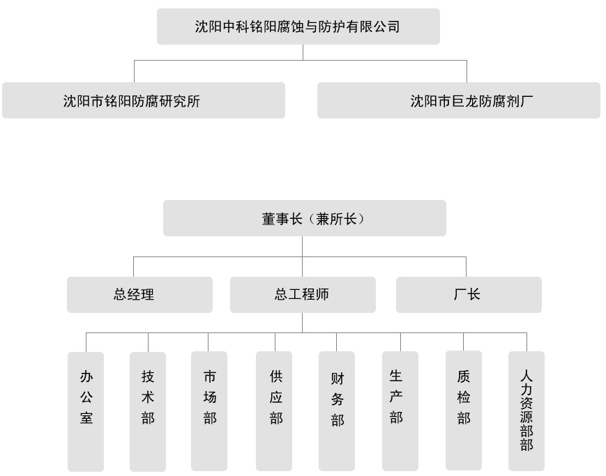 公司架构