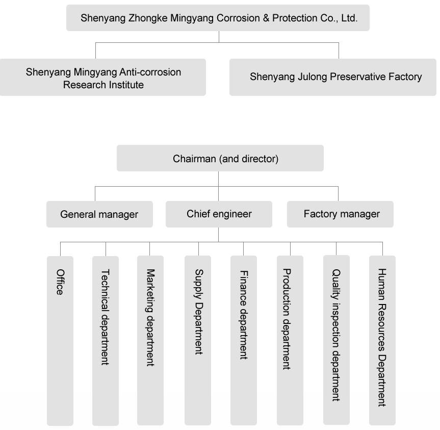 Company structure